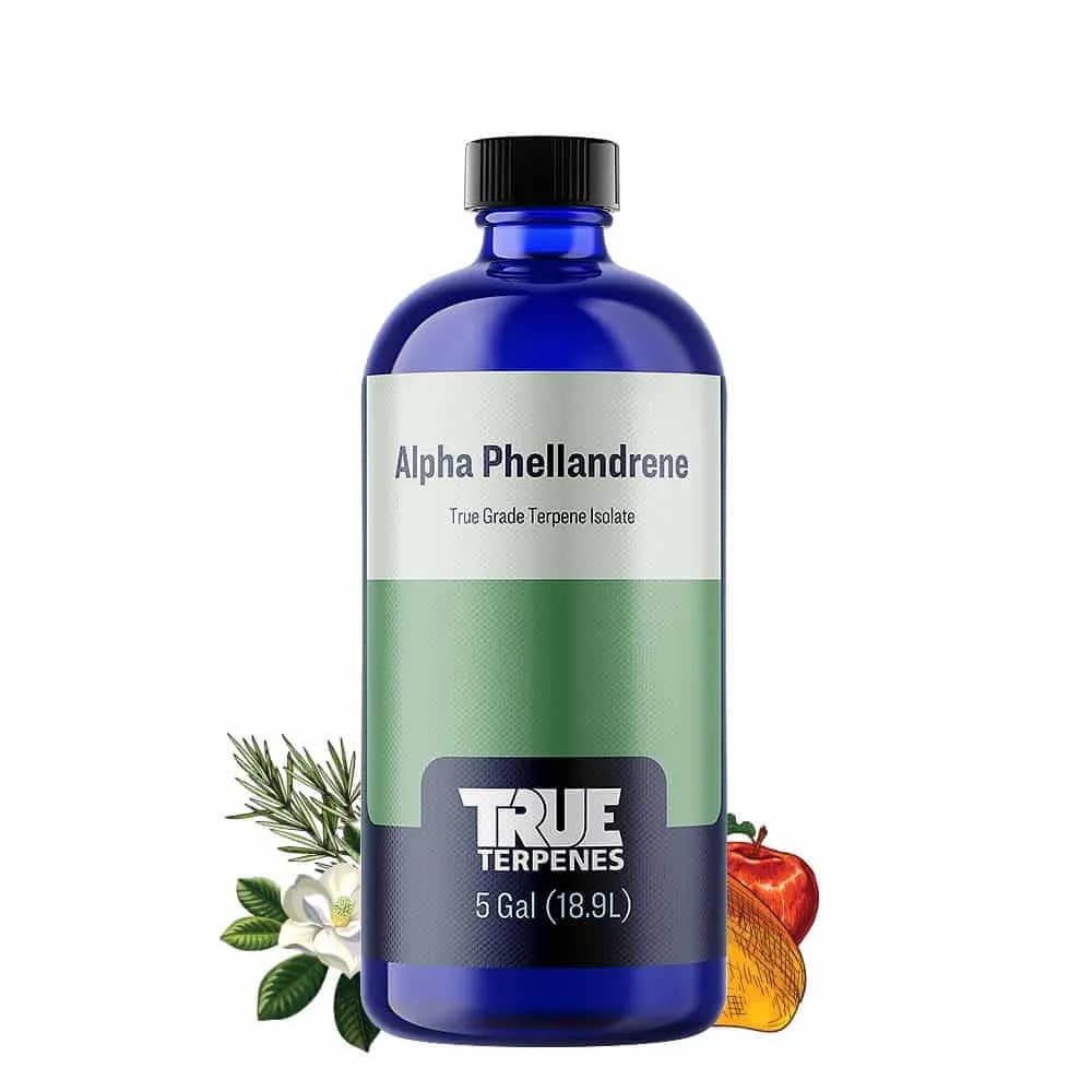 True Terpenes Terpenisolate Alpha-Phellandren (5 ml - 960 ml)